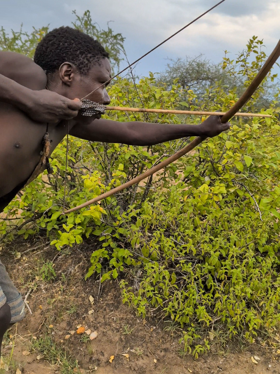 Chaaba The Hunter on his duty, He have to make sure family got Lunch and Dinner ☺️😋🍲#africastories #africa #foryoupage #cooking #FoodLover 