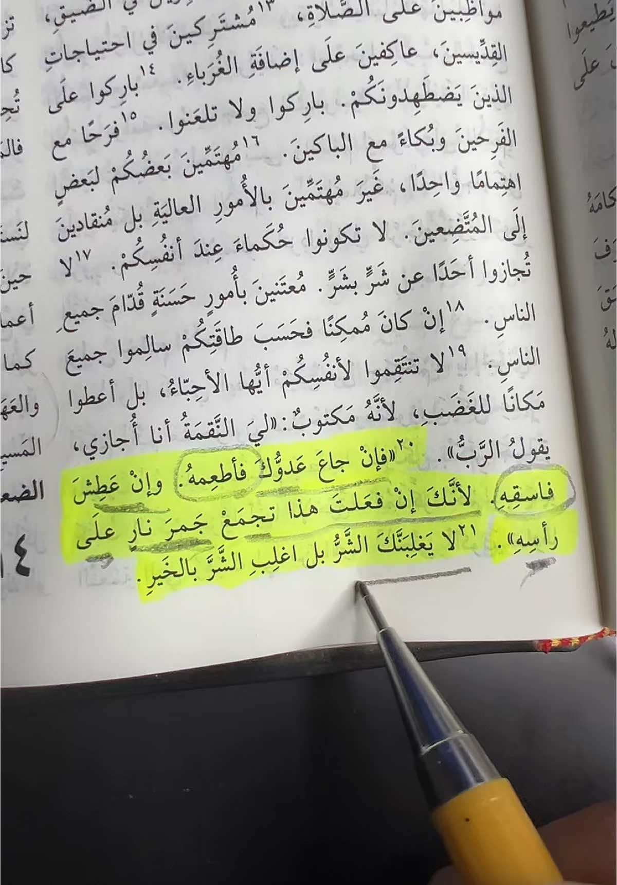 للدرجادي يارب 🤍 #abram_eid  #following  #explore   #2025  #الكنيسه_القبطيه_الارثوذوكسيه❤️✝️💒  #الكنيسة_الارثوذكسية  #jesus  #fyp  #الانجيل  #ايات  #الكتاب_المقدس  #مزامير 