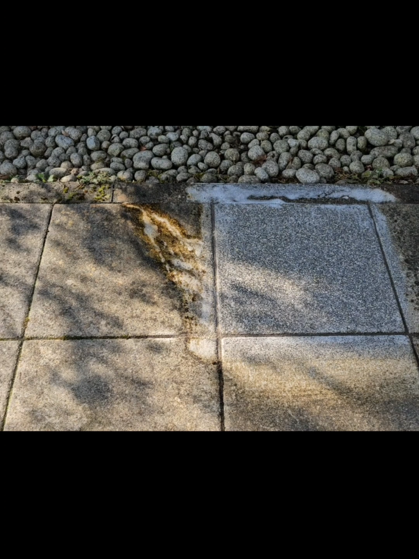Flechte, Grünbelag & Moos entfernen, Terrassensteine reinigen Teil 6