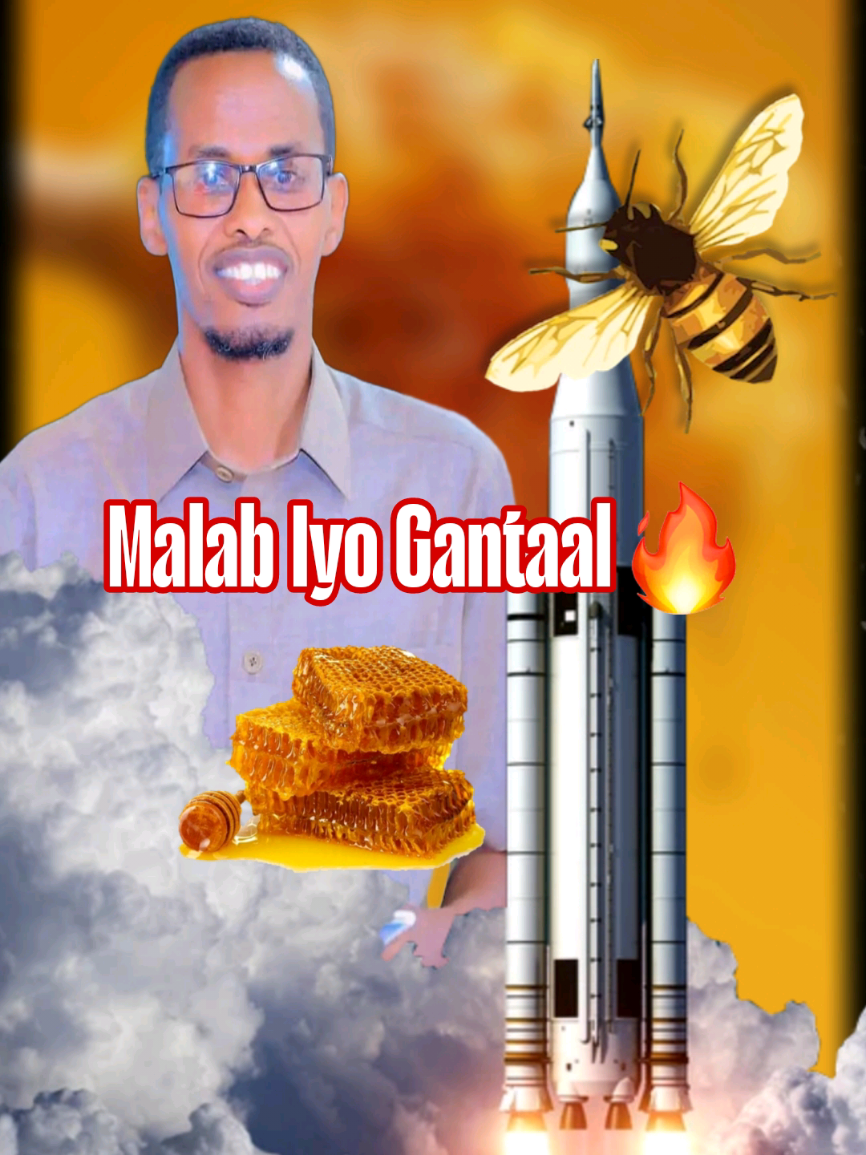 Ustaad Muxyadin Sideed Malab Laqutiyo Gantal Meel Isugu Keentay #videoviral #islaam #foryou #viral #foryoupage #aqoon #muxyadin #ustaad #xikmado #duet #jigjiga #somalia #jigjigayar #Love #song #darwiish 