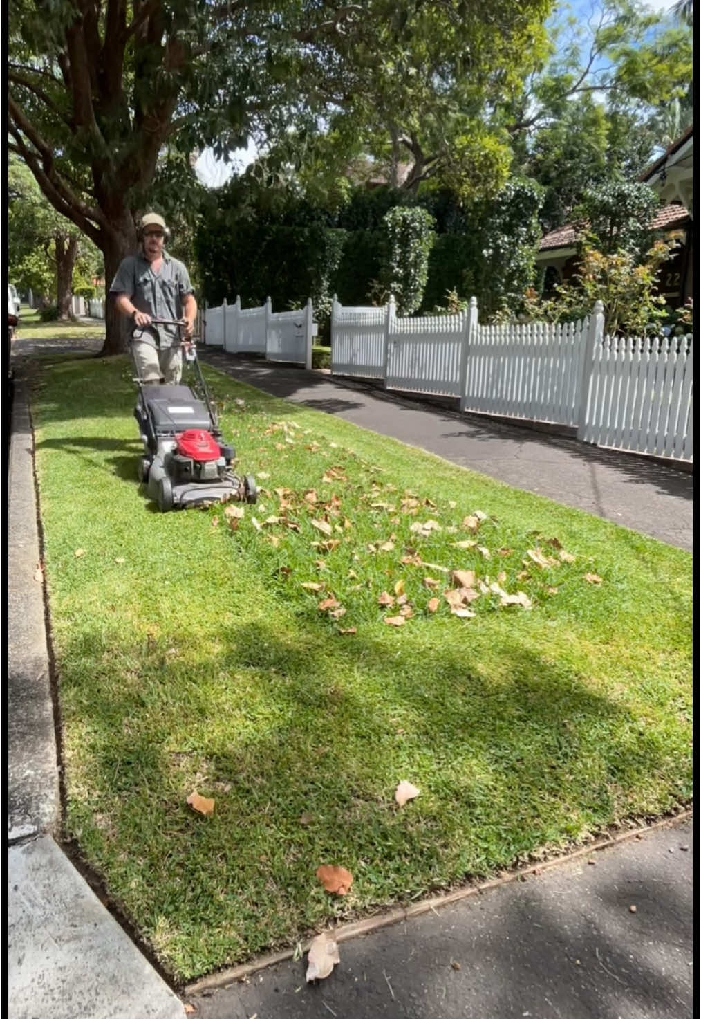 No police were called. All under control here😉 #lawncare #grass #behaving #police #mowing #autumn 