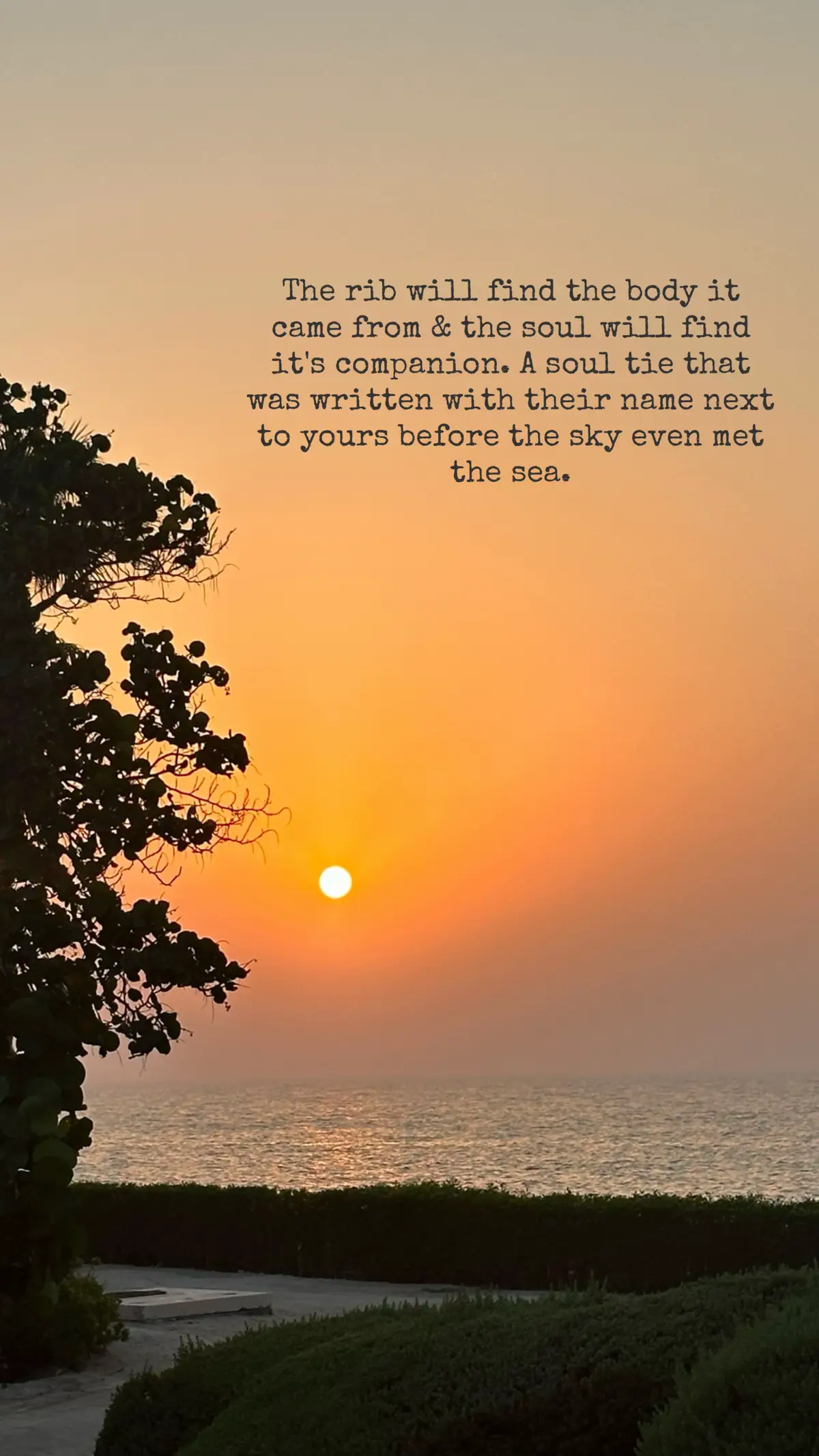 #Love #allah #peace #islam #muslimtiktok #foryoupage #blessings #muslim #fypp #islamic_video #viral_video 