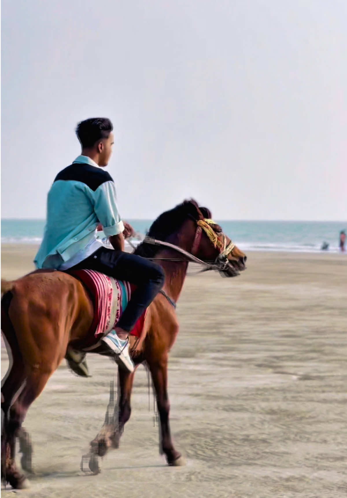 ঘোড়াই উঠছিলেন কখনো ?🐎😎 @🎀 Sojib Araf 🎀 #unfrezzmyaccount #sojib_araf_07 #foryou #foryoupage #vairal #vairalvideo #1m #fyp @TikTok @TikTok Bangladesh 