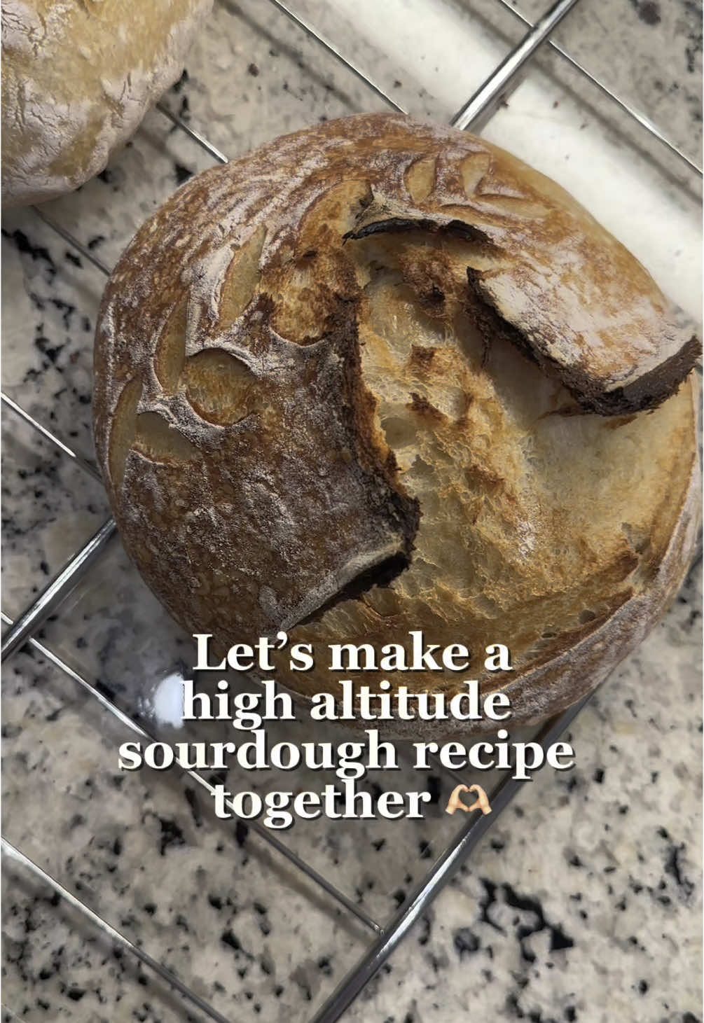 High altitude sourdough recipe for the win 🤩 shoutout to @the_real_sled_neck for this one!! #sourdough #highaltitude #baking #baketok #highaltitudebaking 