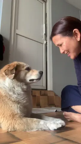 🐕🐾🥰