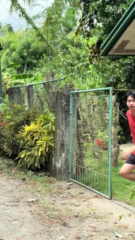Umuwi na si grandma 😱