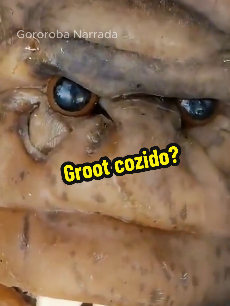 O cara cozinhou o Groot? #creatorsearchinsights #streetfood #gororobanarrada #comidacallejera #indianfood #chinesefood 