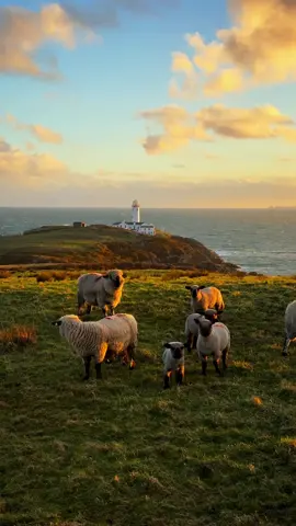 The North Coast of Ireland 🇮🇪☘️