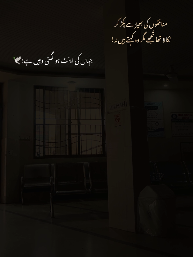 ہم کسی کے لیے بھی تا حیات من پسند نہیں رہتے لوگوں کو لوگ مل ہی جاتے  ہیں 💔😭#fypviraltiktok ジ☆♡ #unfreezemyacount #foryoupage #unfreezemyacount #fypviraltiktok ジ☆♡ #viralvideo #viralvideo#unfreezemyacount #fypviraltiktok ジ☆♡ #unfreezemyacount #unfreezemyacount #fypvira 