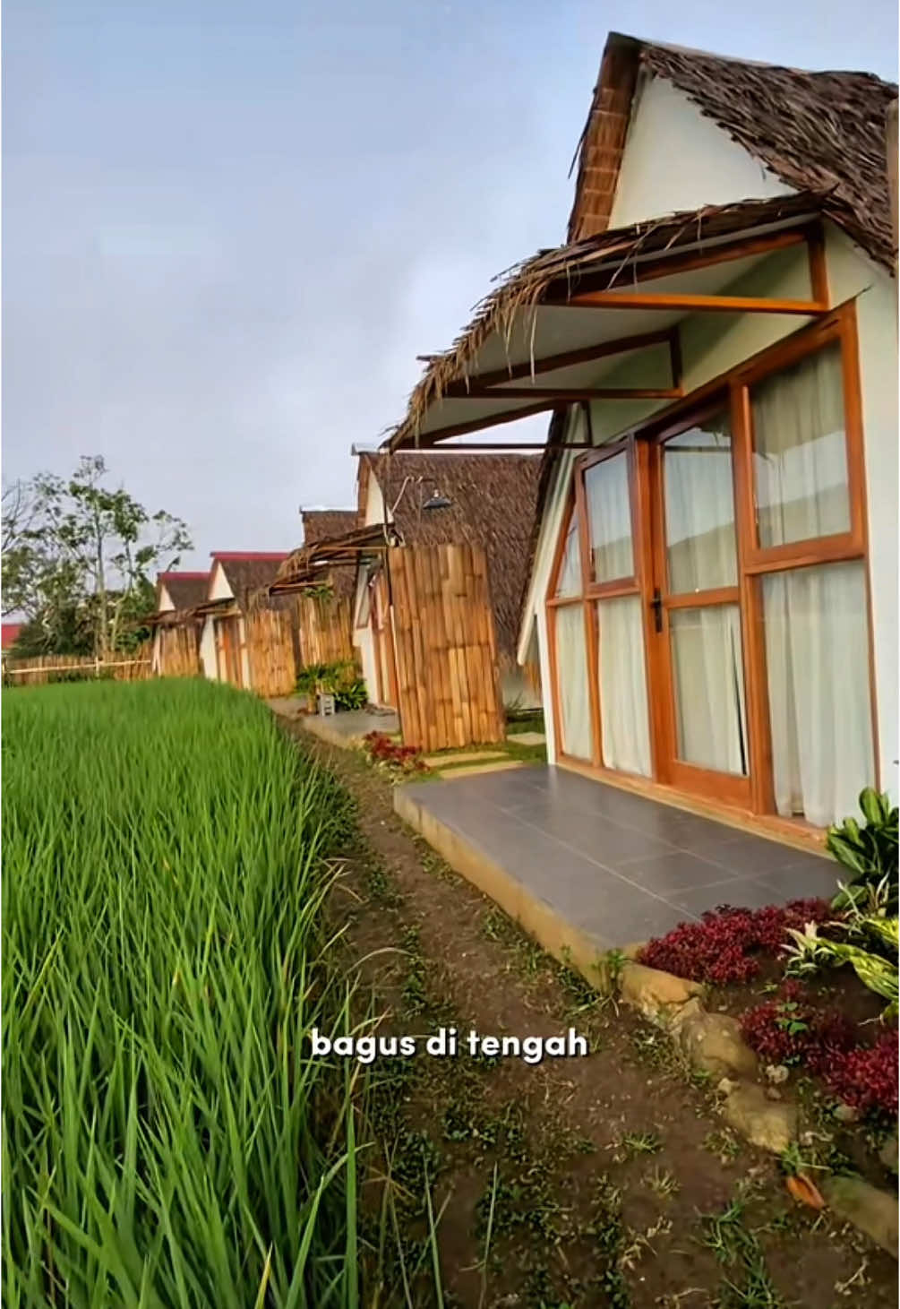 Salah satu penginapan favorit aku di bukittinggi, yg lokasi nya di tengah kota, dengan view sawah dan gunung singgalang, cocok utk liburan keluarga dan temen2  Next kita check penginapan bamboosa nya yah, itu juga bagus banget, murah meriah lagi.. 