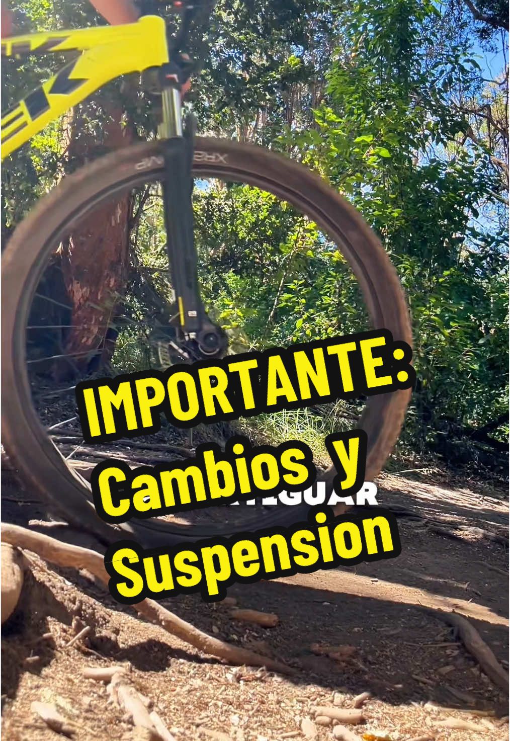 El sistema de cambios (transmisión) en una bici es importantísimo en bicis de montaña y va a determinar si vas a disfrutar o no de tu aventura en mountain bike. Como en estos terrenos la resistencia de la bici la llevas al extremo es necesario para que puedas salir sin preocupaciones que tu bici esté equipada con un buen sistema de transmisión, de buena calidad y robusto (de no ser así, muy seguido se te va a empezar a salir la cadena al pasar los cambios o al tomar desniveles constantes). #ciclistadeciudad #ciclismourbano #ciclismo #ciclista #Mtb #ciclismodemontaña #bicimtb