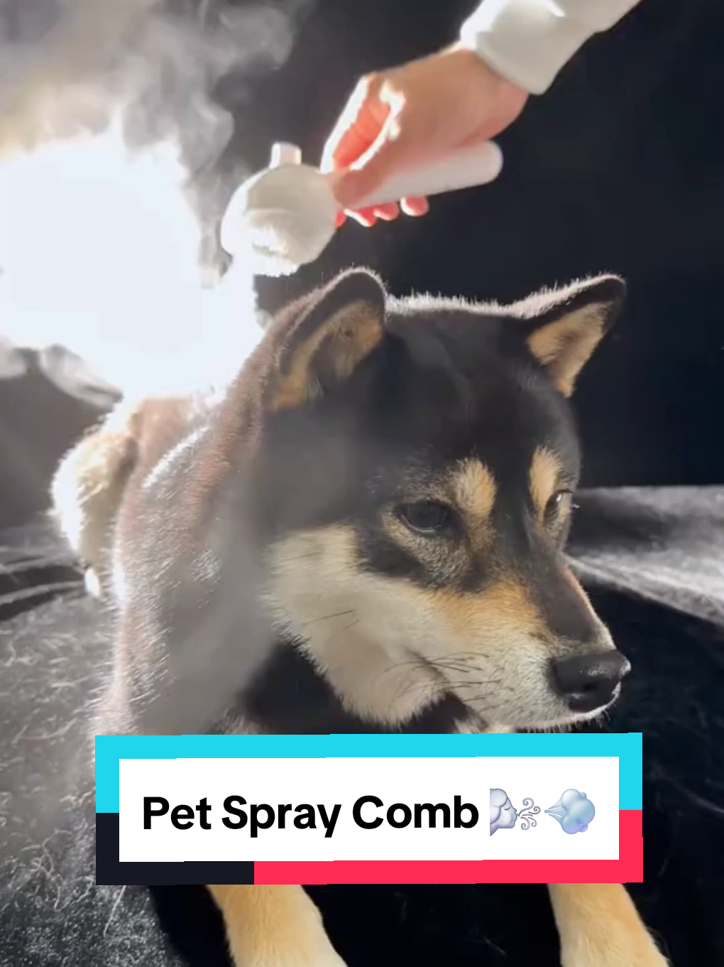 Pet Spray Comb 🌬💨 #pethairremoval #dogshop #dogproducts #dogbrush #petcomb #shedding 