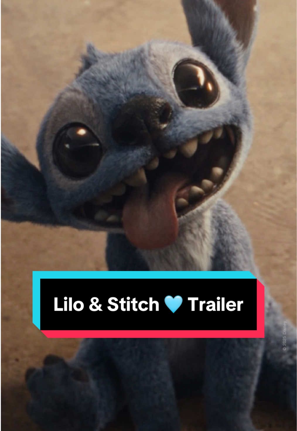 Ohana bedeutet Familie. Familie bedeutet, dass niemand zurückgelassen oder vergessen wird. 🩵  Schau jetzt den neuen Trailer zu #LiloUndStitch und ab 22. Mai gibts den Film nur im Kino!