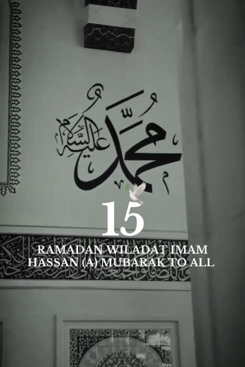 15 Ramadan wiladat e imam hassan (a) mubarak to all 😍🕊️ #foryou #21RAMZAN #21ramzanshahadat_imam_ali_as #15ramzan #15ramadhan 