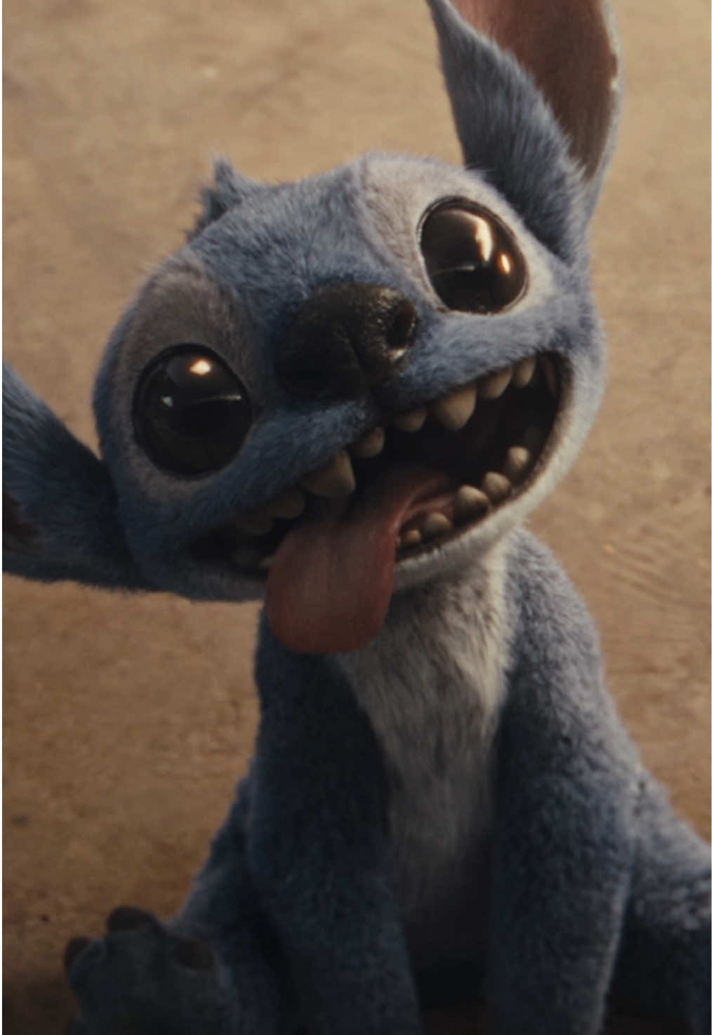 ¡Aloha, Stitch está de vuelta y con mucho caos! 💙 Checa el tráiler de #LiloYStitch y espéralo este 22 de mayo en Cinemex. Descarga nuestra app para no perderte de los próximos estrenos.