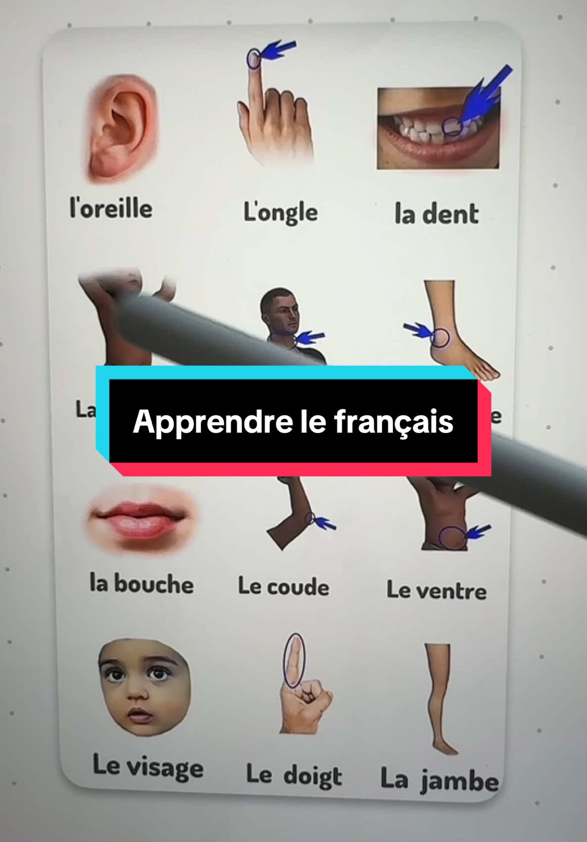 Apprendre le français. #apprendrelefrançais #francais #languefrançaise #parlerfrancais 