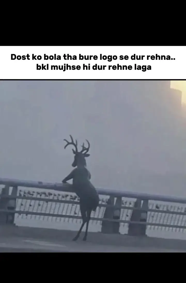🥺🥺