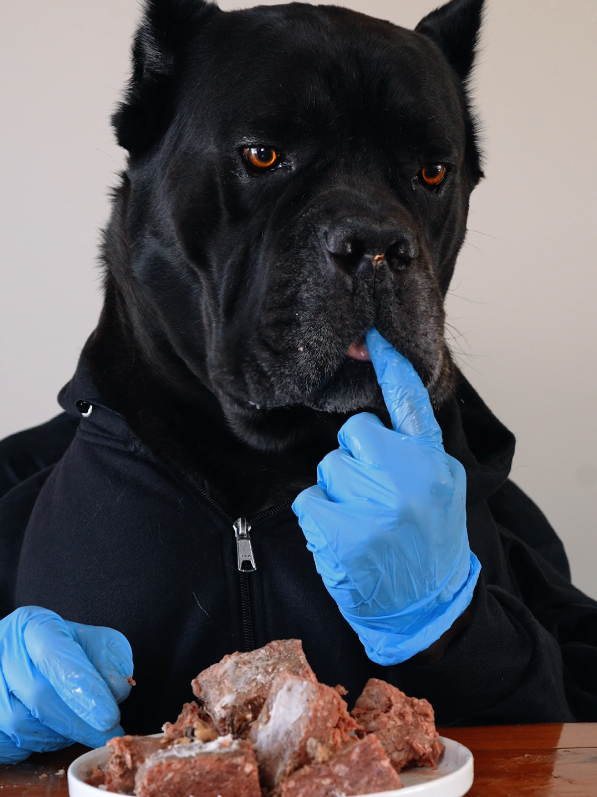 #dogs #muckbangdog #muckbang #canecorso #funnyvideos #funnydog  @Buck Wild Bison 