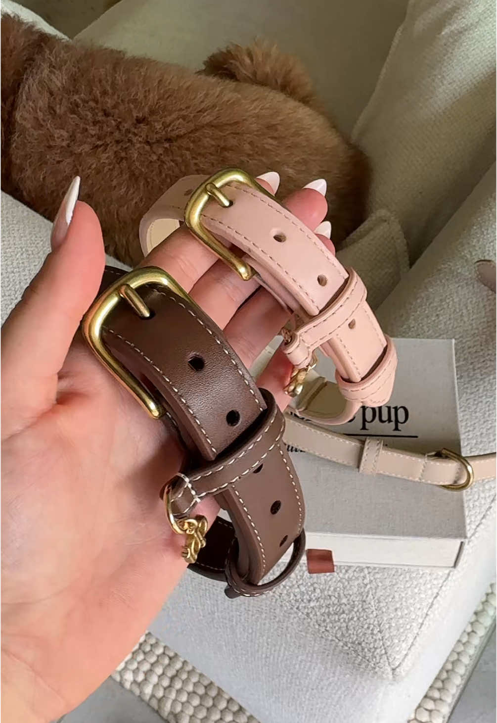 these are elite 🙂‍↕️ #dogcollars 