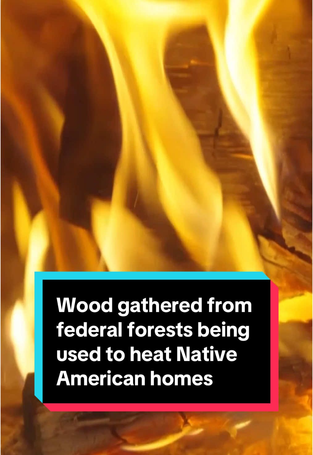 Wood gathered from national forests is being used by Native Americans to heat their homes in communities facing harsh winters and limited access to affordable heating. The wood comes from trees cleared to prevent wildfires, which would have otherwise gone to waste. #wood #nativeamericans #indigenouspeople #environment #wildfires #forest #news 