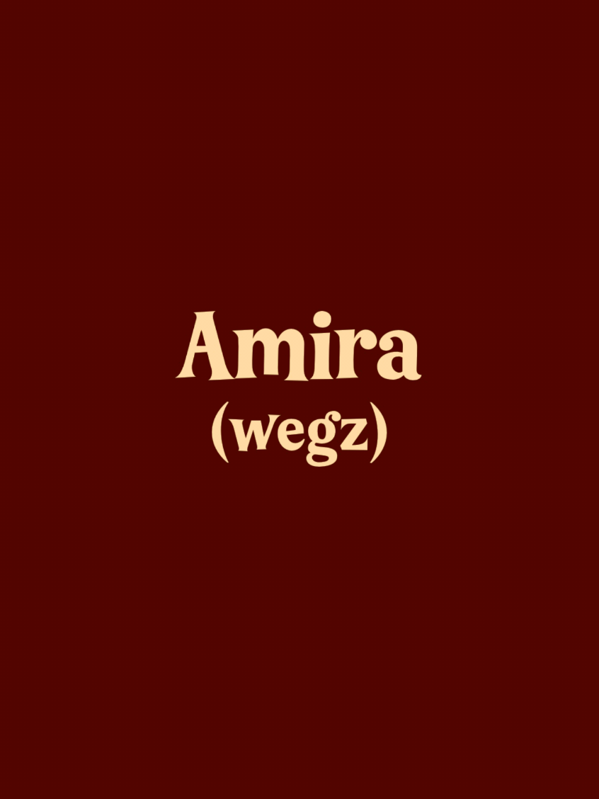 Amira- wegz #fyp #موسيقى #music #song #ايديت #تصميم #اغاني #rap3arab #wegz #ويجز #اميره 