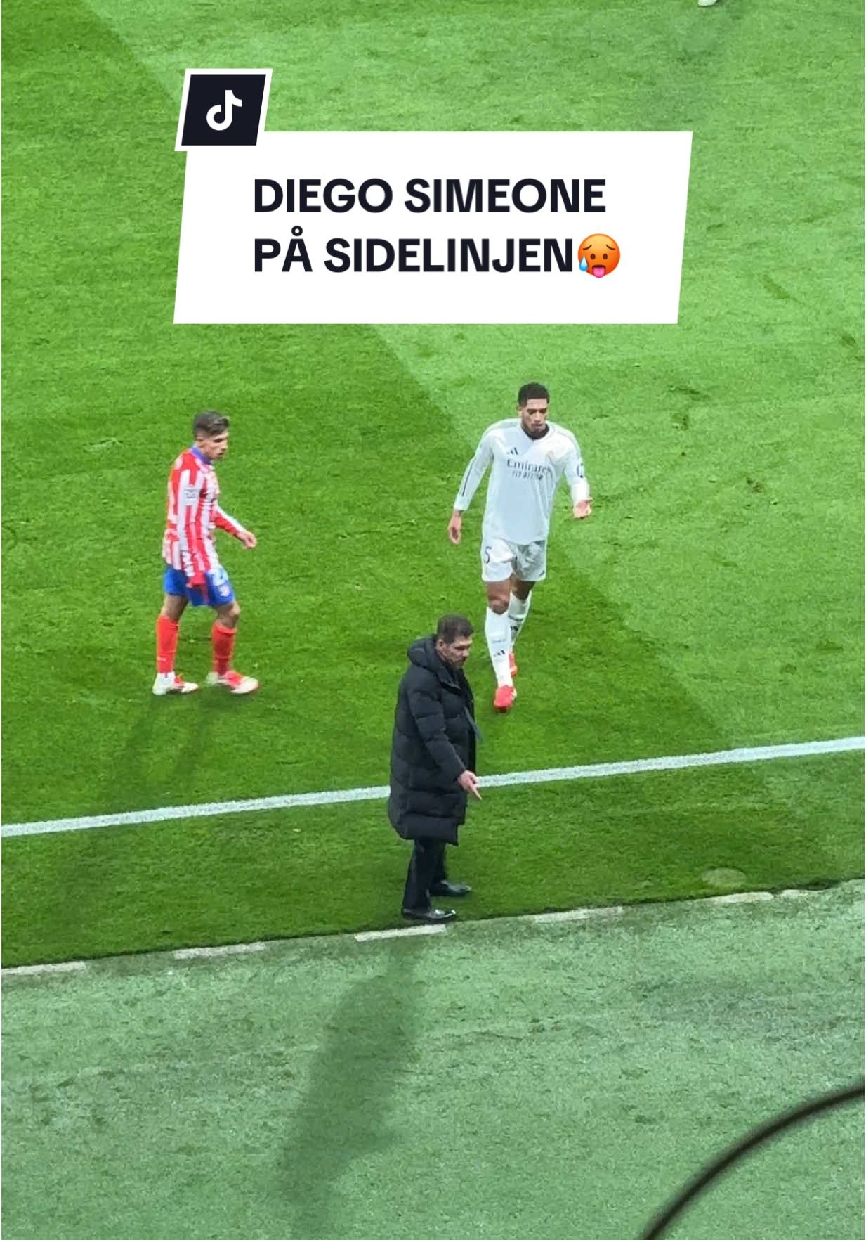 Diego Simeone på sidelinjen😂🥵 #simeone #diego #ucl #madrid #derby #atletico #rea 