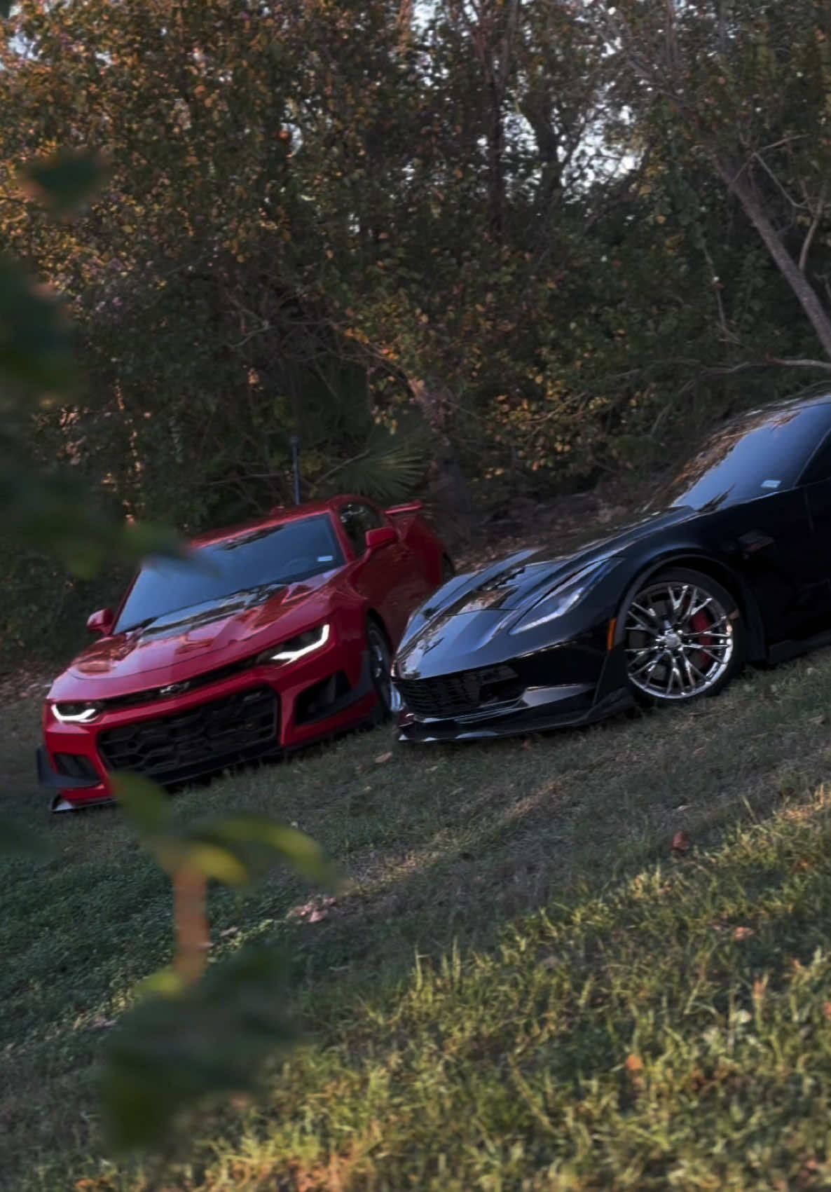 Offroad cars>>> #corvette #c7z #camarozl1 #trending #fyp @Ricardo 