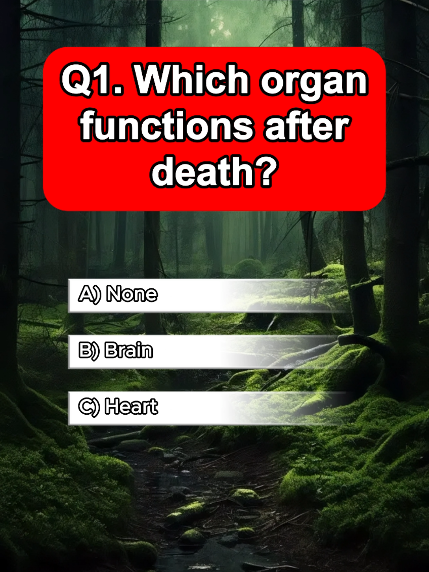 Anatomy Quiz for Americans - Can you get 10/10? #anatomy #quiz #quiztime #greysanatomy #humanbody #usa_tiktok 