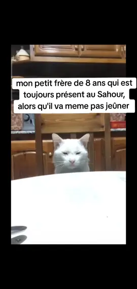 mon petit frère de 8 ans qui est toujours présent au Sahour, alors qu'il va meme pas jeûner  #Ramadan #pourtoii #fry 