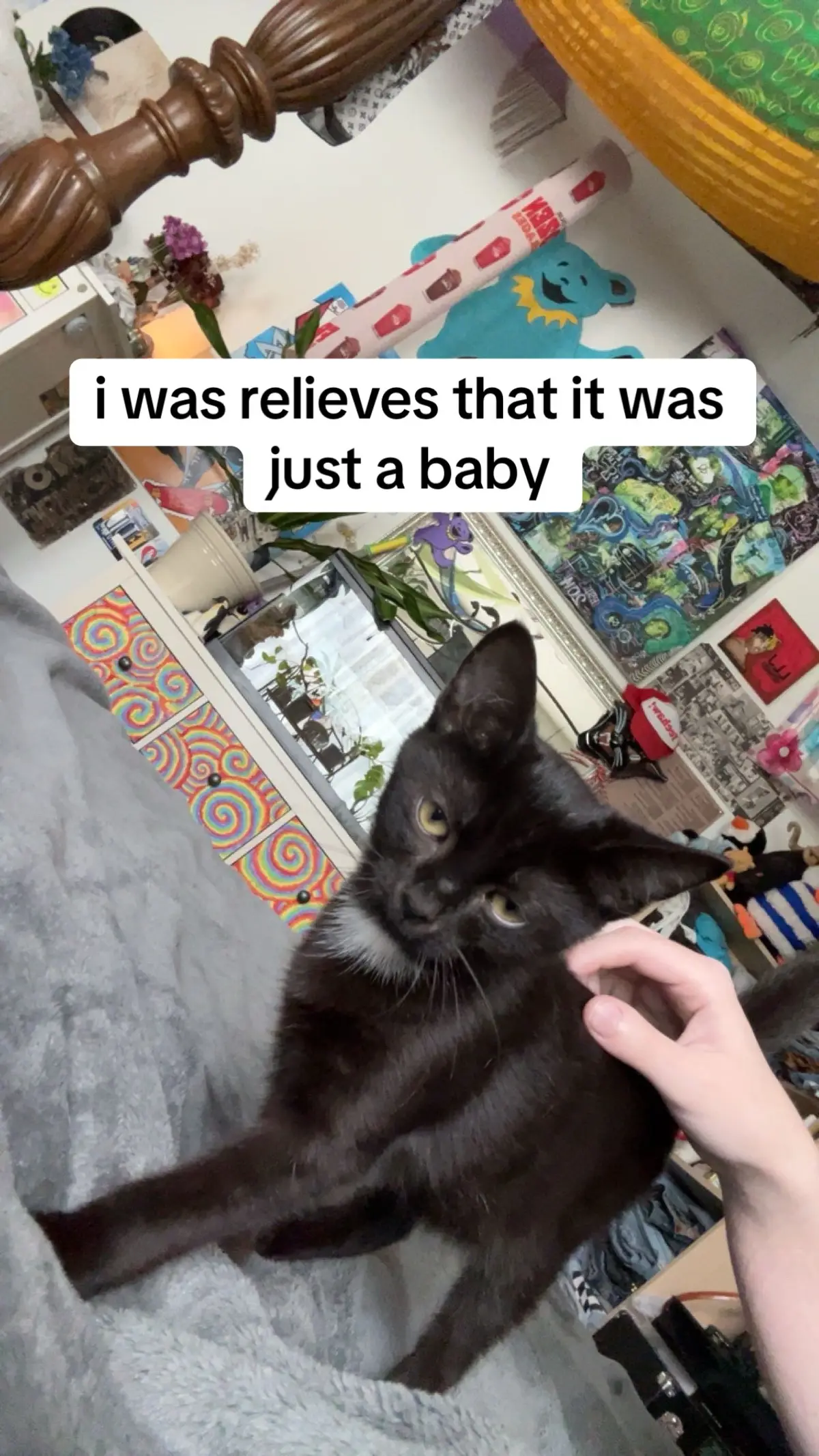 #fyp #fatbaby #justababy #blackcat #cattok #cat #catsoftiktok #blackcatsoftiktok #blackcatsaregoodluck #xyzbca #funny #viral #meme #idk #urmom 