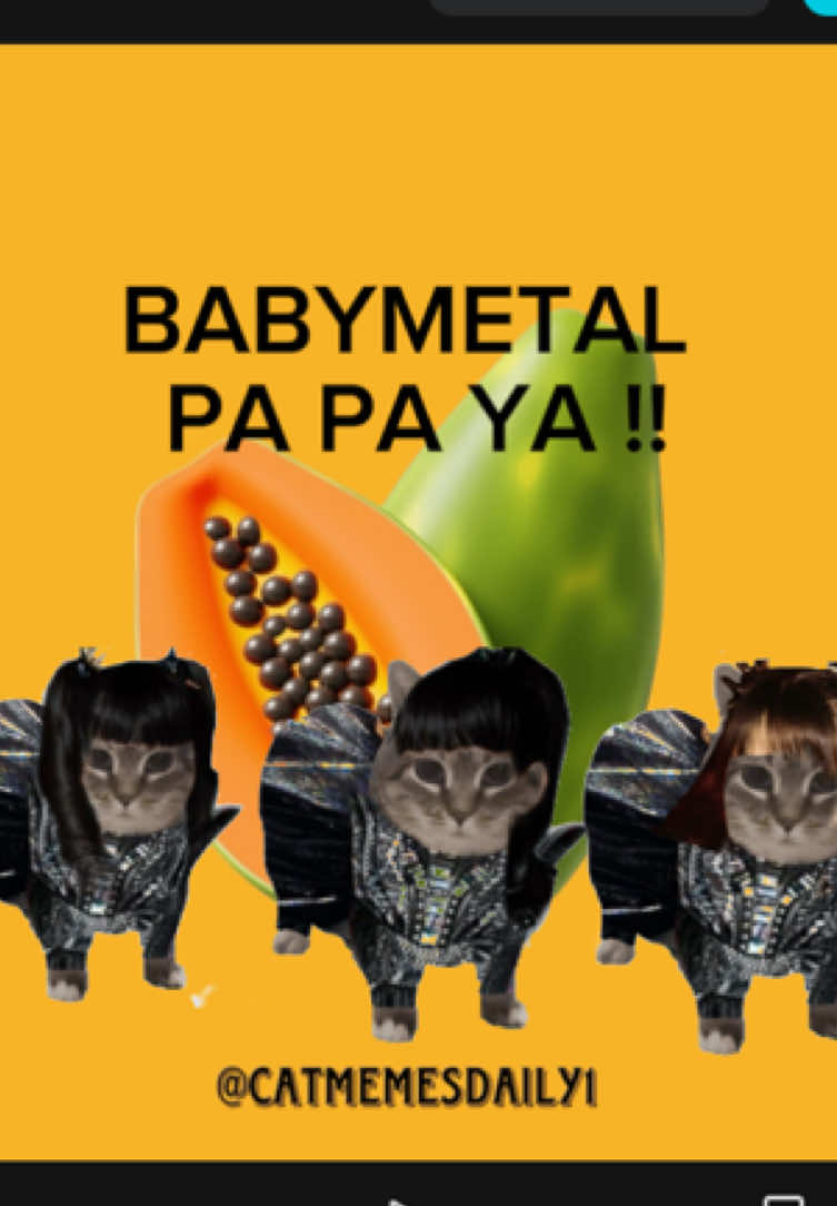 BRING IT ON BRING IT !!!🤩🤩OO II AAA . OIA x PA PA YA!! By Babymetal #fyp #oia #porvoce #parati #babymetal #fhero #moametal #sumetal #rihometal #papaya #lyrics #cat #oia #creatorsearchinsights @oiiacat_ethel 