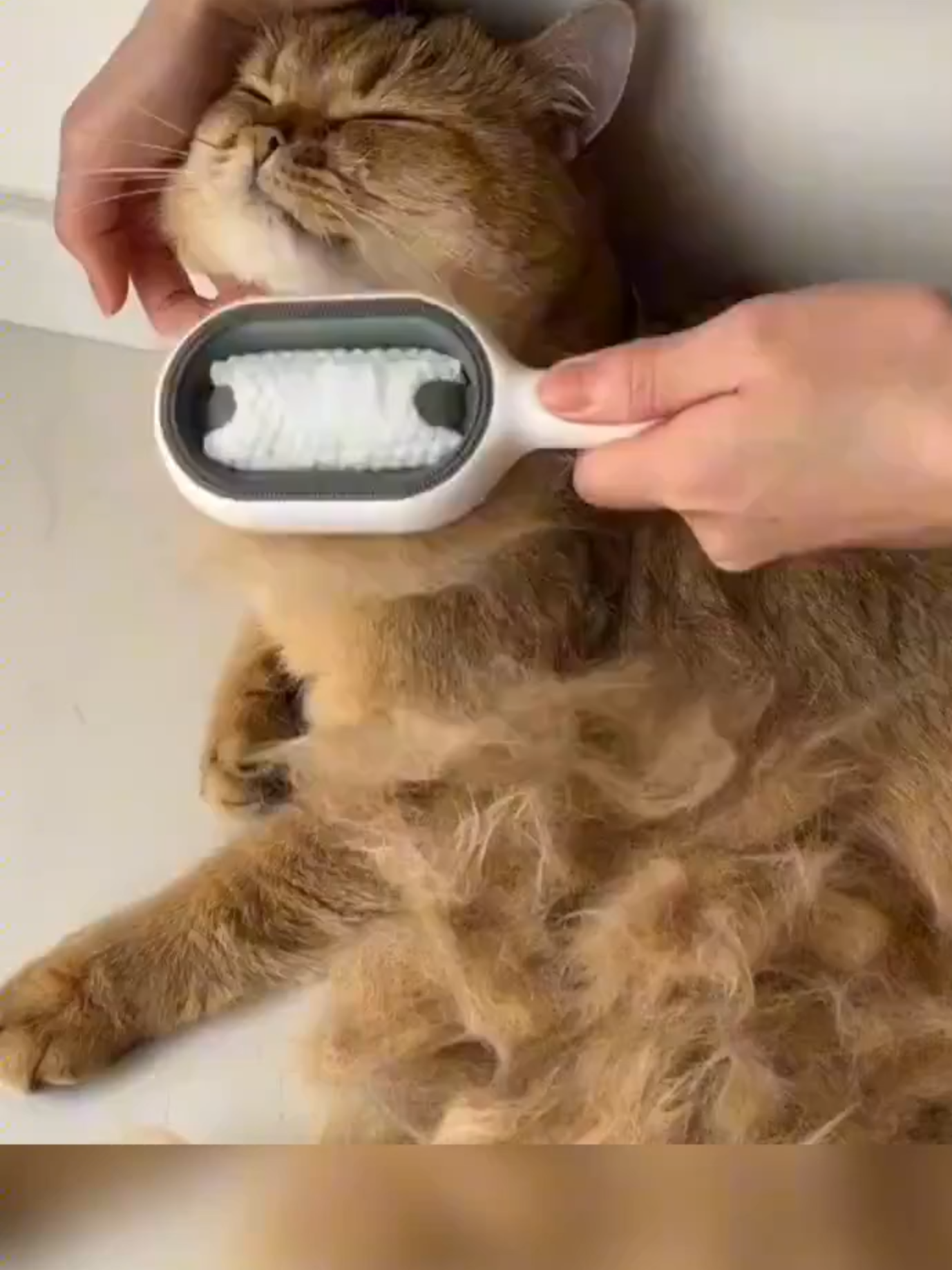 Pet owners know the struggle—fur everywhere. Somehow, this little thing makes cleanup way easier. And the best part? Cats and dogs actually enjoy it. Less mess, more happy pets. #pets #dog #petgrooming #petcare #happycat #happydog #catlover #cleanup #petlife #dogmom #catdad #PetsOfTikTok