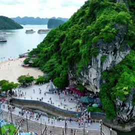 Đảo Titop thiên đường biển đảo giữa Vịnh Hạ Long 😍#daotitop #dulichhalong #dulichquangninh #dulichvietnam #amazingvietnam #CapCut #thinhhanh 