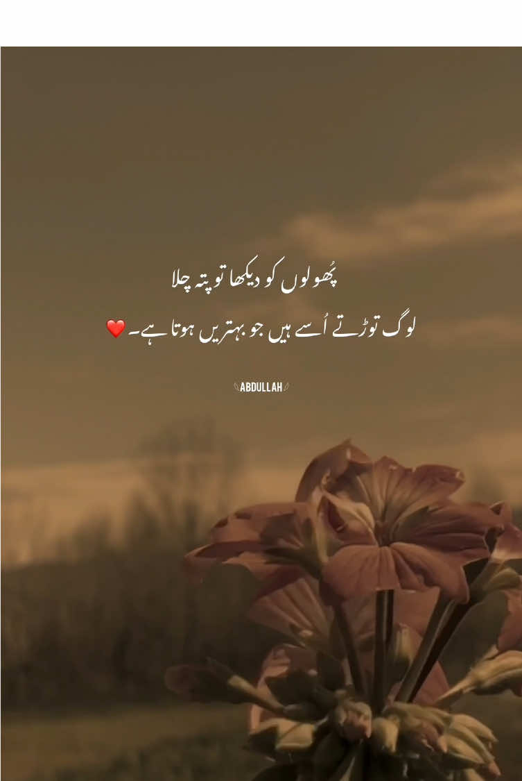 #hehe_abdullah #hehe_mazhar #hehe_daniii #hehe_mazhar #1millionaudition #aesthetic #foryou #poetry 