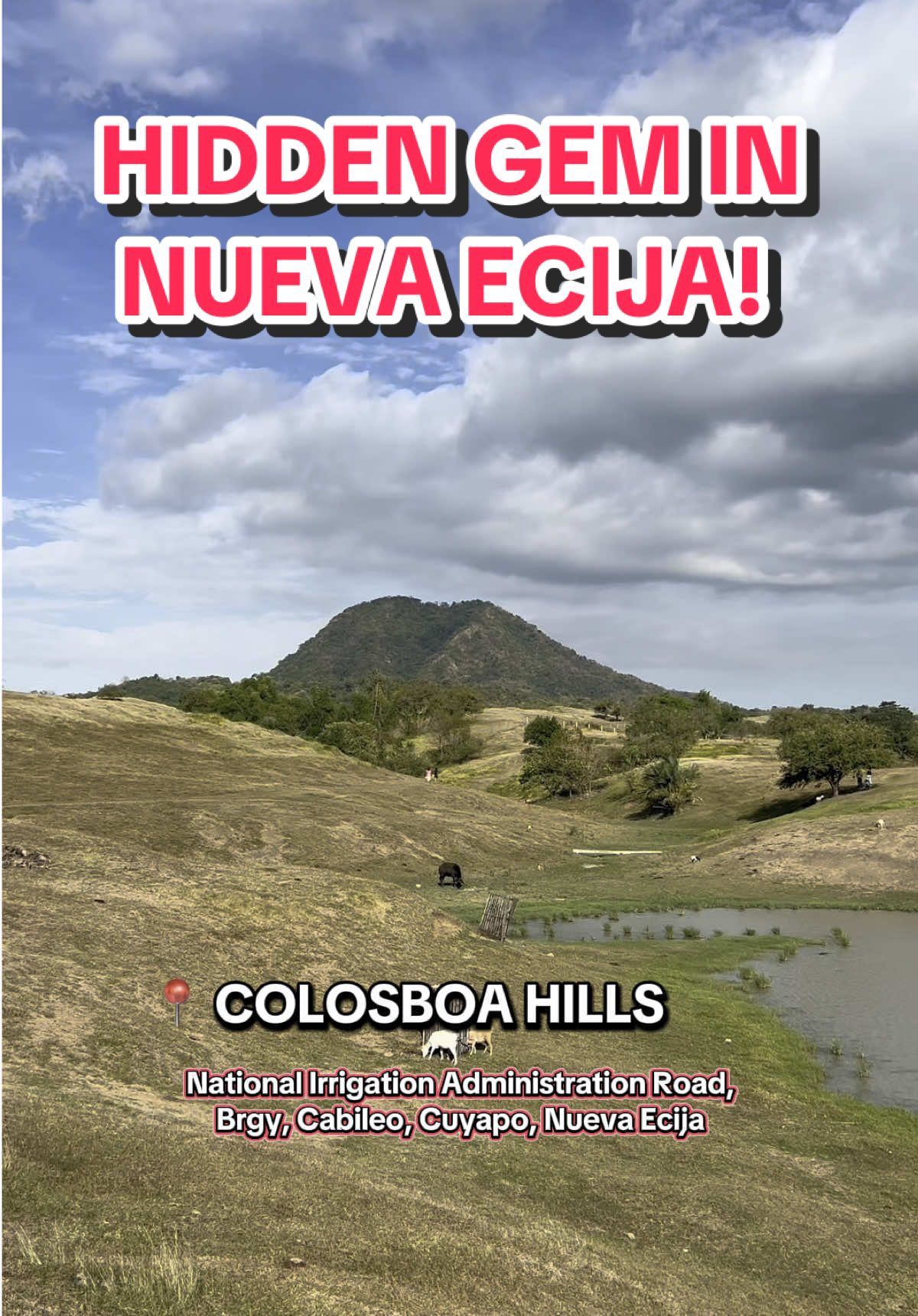 Where to go in Nueva Ecija? Tara dito sa Colosboa Hills na tinaguriang 