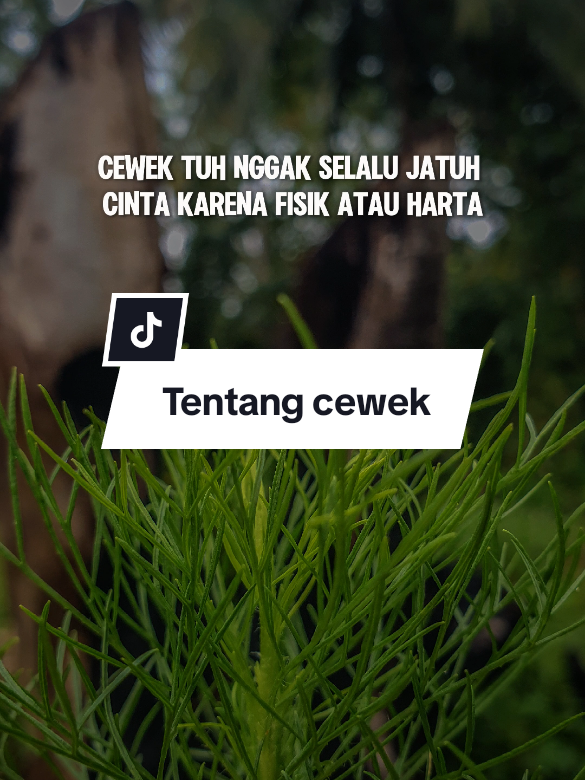 Cewek itu gak melulu soal fisik ataupun harta #CapCut #kehidupan #trending #viral #fyppppppppppppppppppppppp #fyp #status #story #katakata #quotes #quotestory #cewek #fisik #harta #kehidupan 