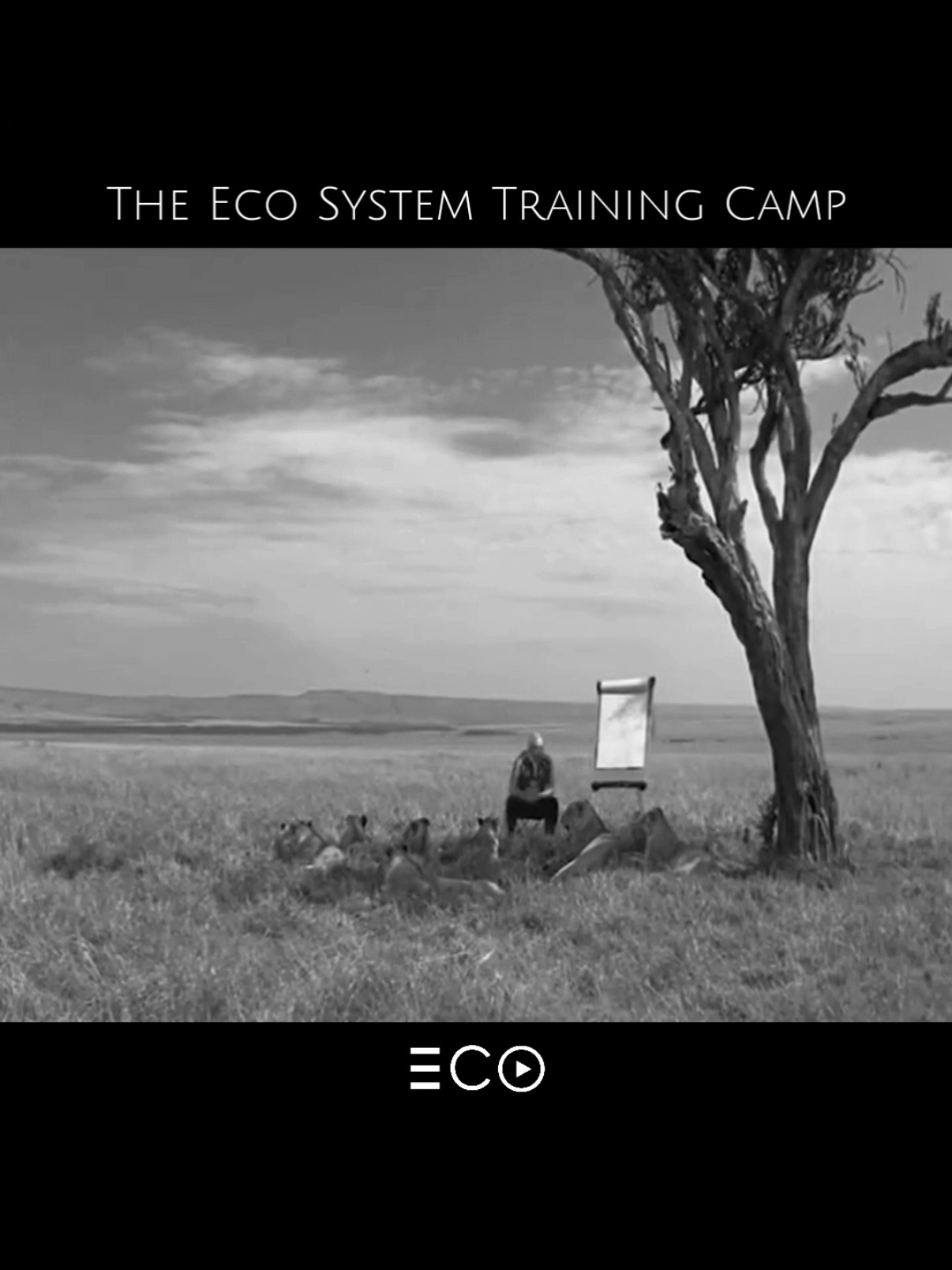 @The Eco System  @theecosystem.ai on Intagram for more.