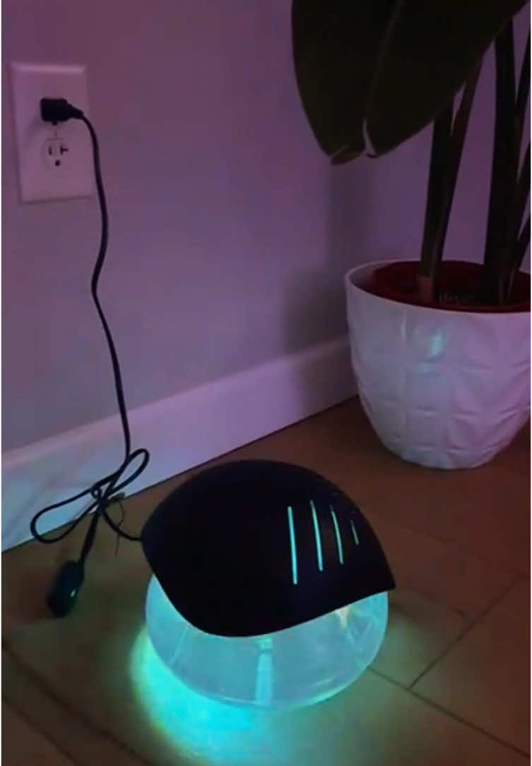 #airpurifier#diffuseroil#cleanair#smellgood 