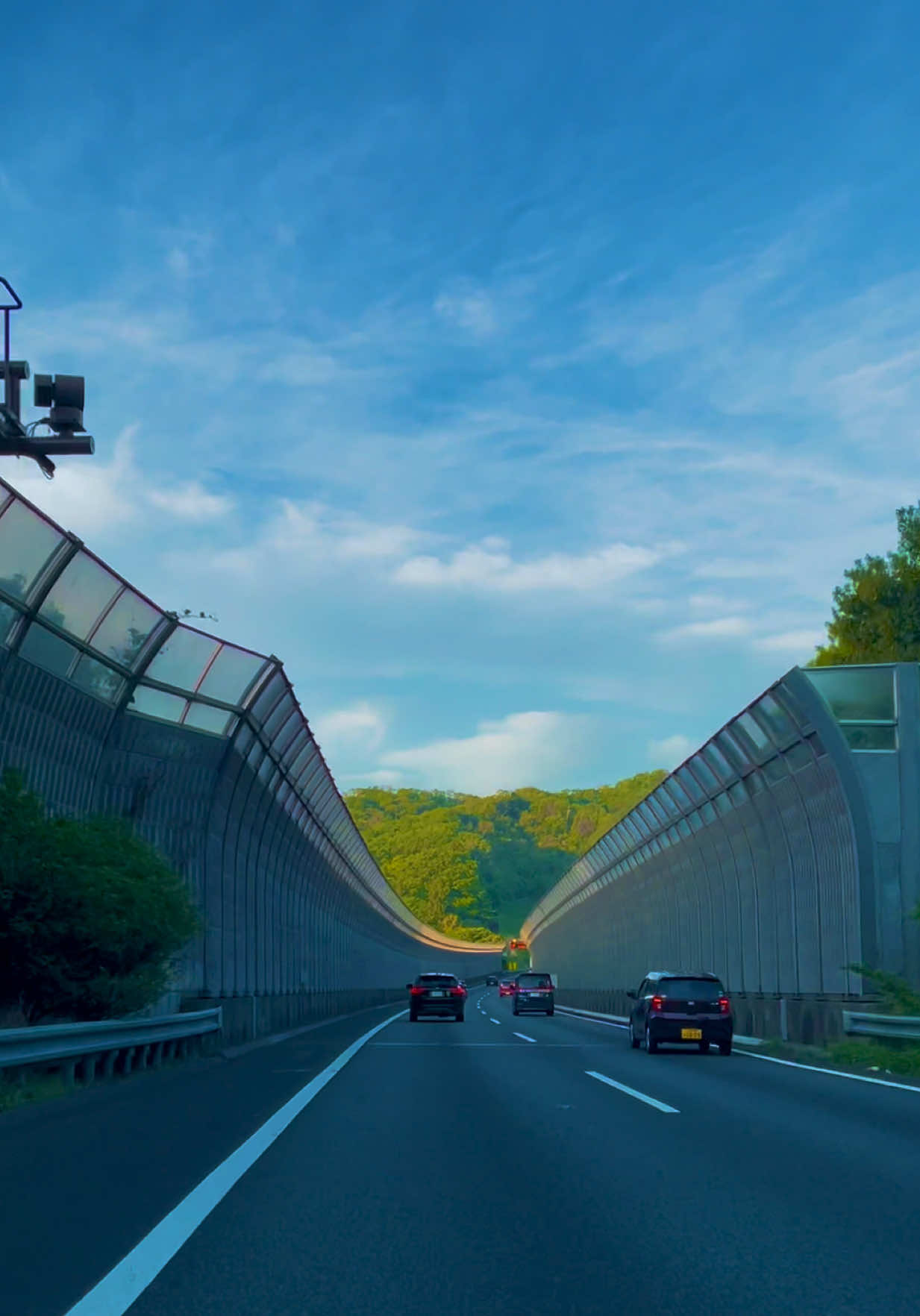 #driver #highway #japan #aesthetic #scenicdrive #日本 #🇯🇵 #roadtrip 