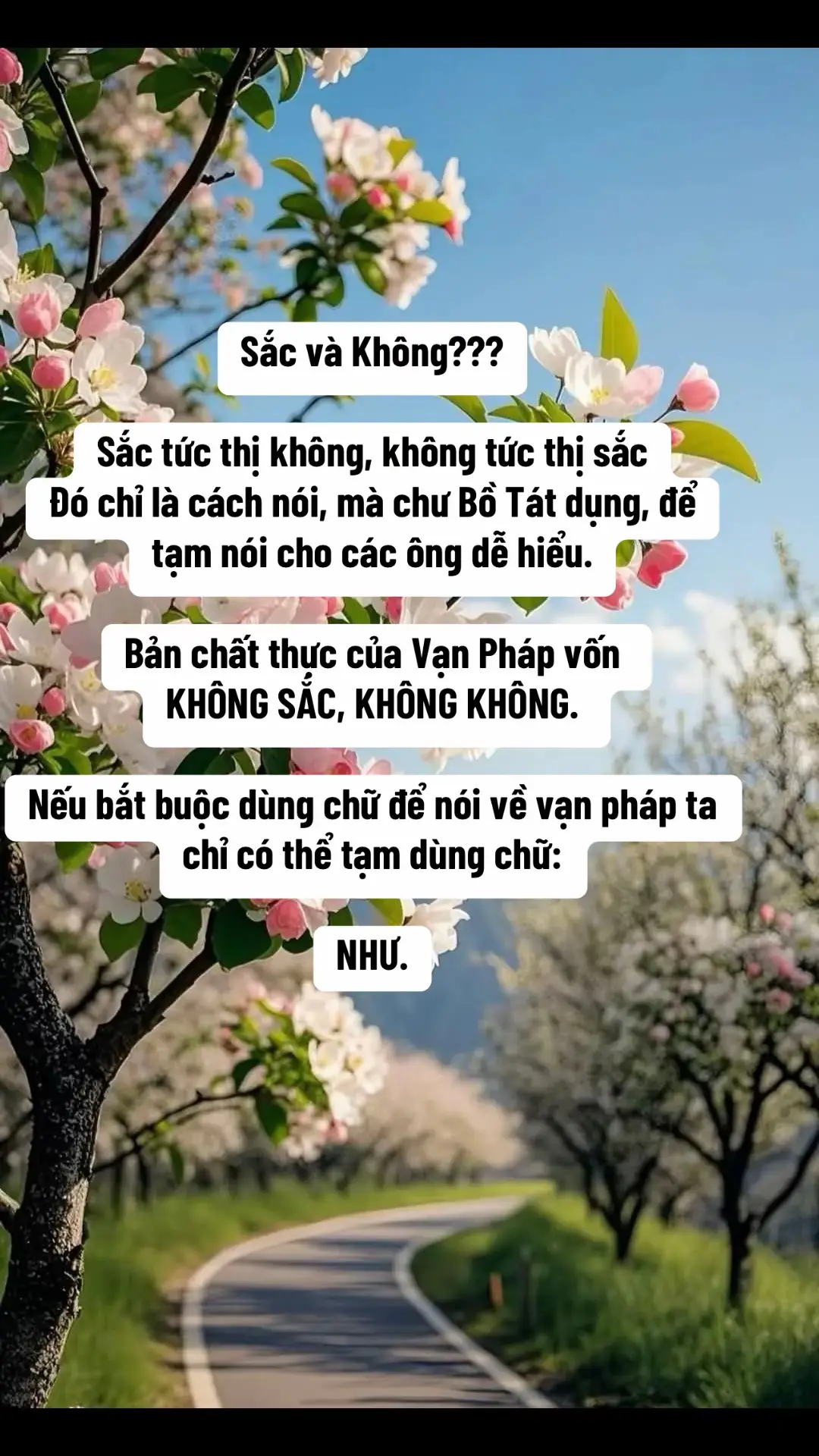 Vạn pháp là Chân Như. #khaithi #giacngo #tinhthuc #adidaphat #đạo #trietlycuocsong #nangluongtichcuc💪🍀 #thuctinh #thongdiepvutru #tanso #bimat 