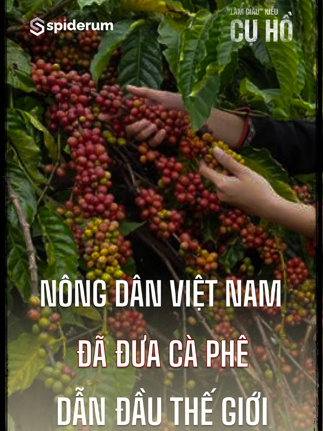 Nông dân Việt Nam đã đưa cà phê dẫn đầu thế giới | “LÀM GIÀU” KIỂU CỤ HỒ TẬP 05 | Nguyễn Thành Nam “Làm giàu” kiểu Cụ Hồ là series podcast xoay quanh những câu chuyện lịch sử trong cuộc đời Chủ tịch Hồ Chí Minh, giúp khán thính giả có được cái nhìn sâu sắc về tư tưởng Hồ Chí Minh, cùng những ứng dụng thực tế trong kinh doanh và cuộc sống. 5 tập podcast là 5 cuộc trò chuyện cùng khách mời Nguyễn Thành Nam: Anh là một trong 13 thành viên sáng lập Tập đoàn FPT, từng là tổng Giám đốc điều hành đầu tiên của FPT Software, và là nhà sáng lập tổ chức giáo dục FUNiX. Anh Nam từng được trao tặng bằng khen từ Thủ tướng Chính phủ vì đã có thành tích tiêu biểu trong học tập và làm theo tư tưởng, đạo đức và phong cách Hồ Chí Minh. Hiện tại, anh cũng đang giảng dạy Tư tưởng Hồ Chí Minh tại Đại học VinUni. 5 tập podcast sẽ lần lượt lý giải 5 triết lý của Chủ tịch Hồ Chí Minh thông qua những câu chuyện, sự kiện và nhận vật lịch sử: 1/ Không có gì quý hơn độc lập tự do 2/ Chạm vào tâm hồn 3/ Dĩ bất biến, ứng vạn biến 4/ Lấy thế thắng lực 5/ Sánh vai với các cường quốc năm châu #LamGiauKieuCuHo #nguyenthanhnamfpt #spiderum #nguoitrongmuonnghe #podcast