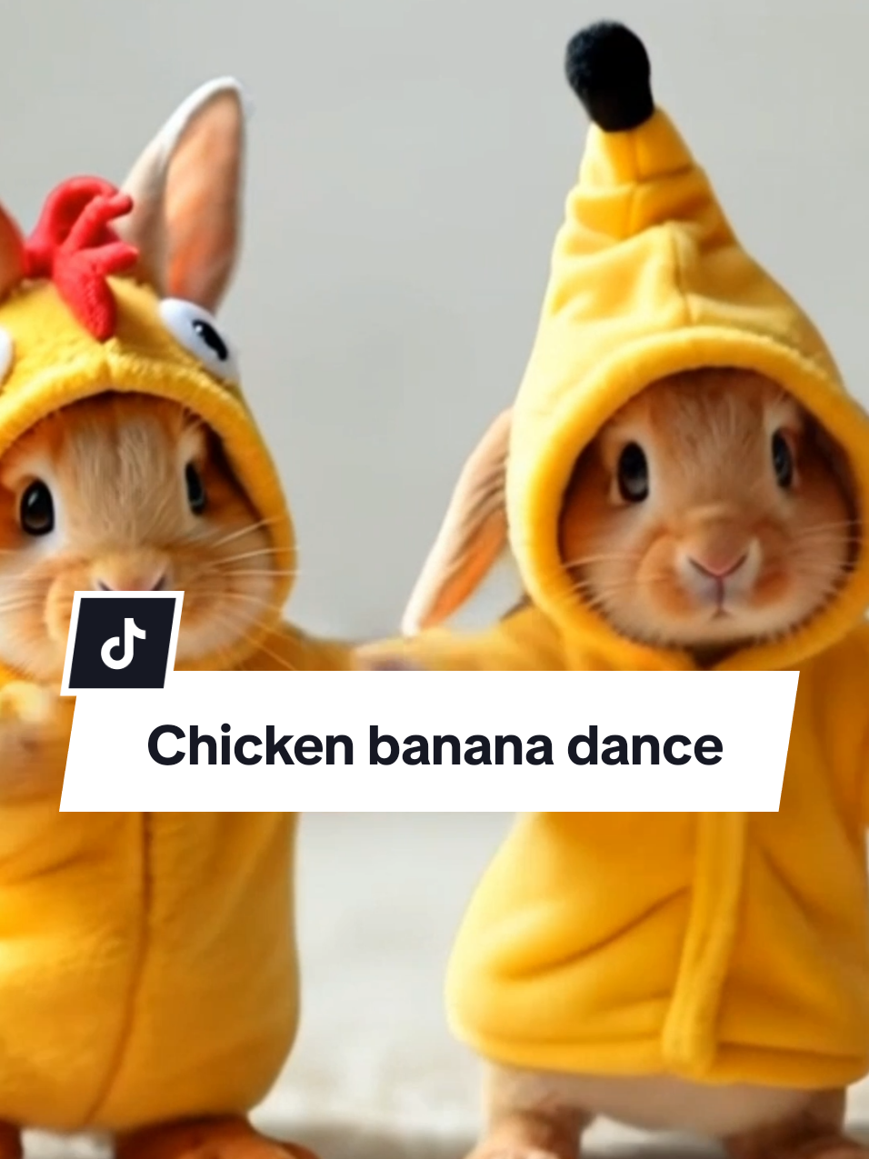 Cute bunnies dancing on the song chicken banana #chickenbanana #bunny #cuterabbit #cutebunny 