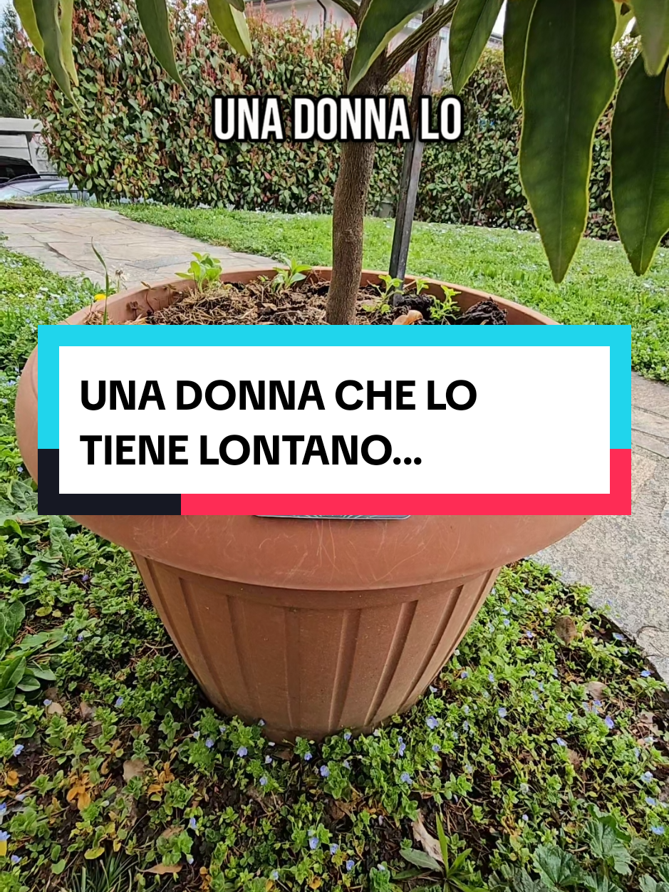 PER CONSULTI PRIVATI PERSONALIZZATI SCRIVIMI AL LINK CHE TROVI IN BIO 🍀  #tarocchiitalia #sibille #tarocchi #cartomante 