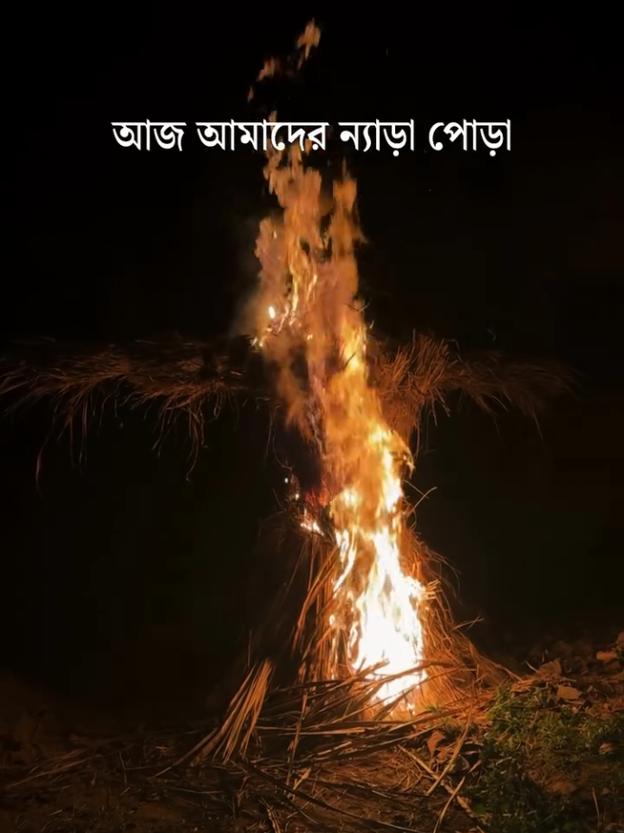 happy ন্যাড়া পোড়া >>🔥