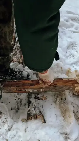 Building a Winter Bushcraft for Survival part 2#build #bushcraft #fyp #outdoor #wildernesscrafters #shelter