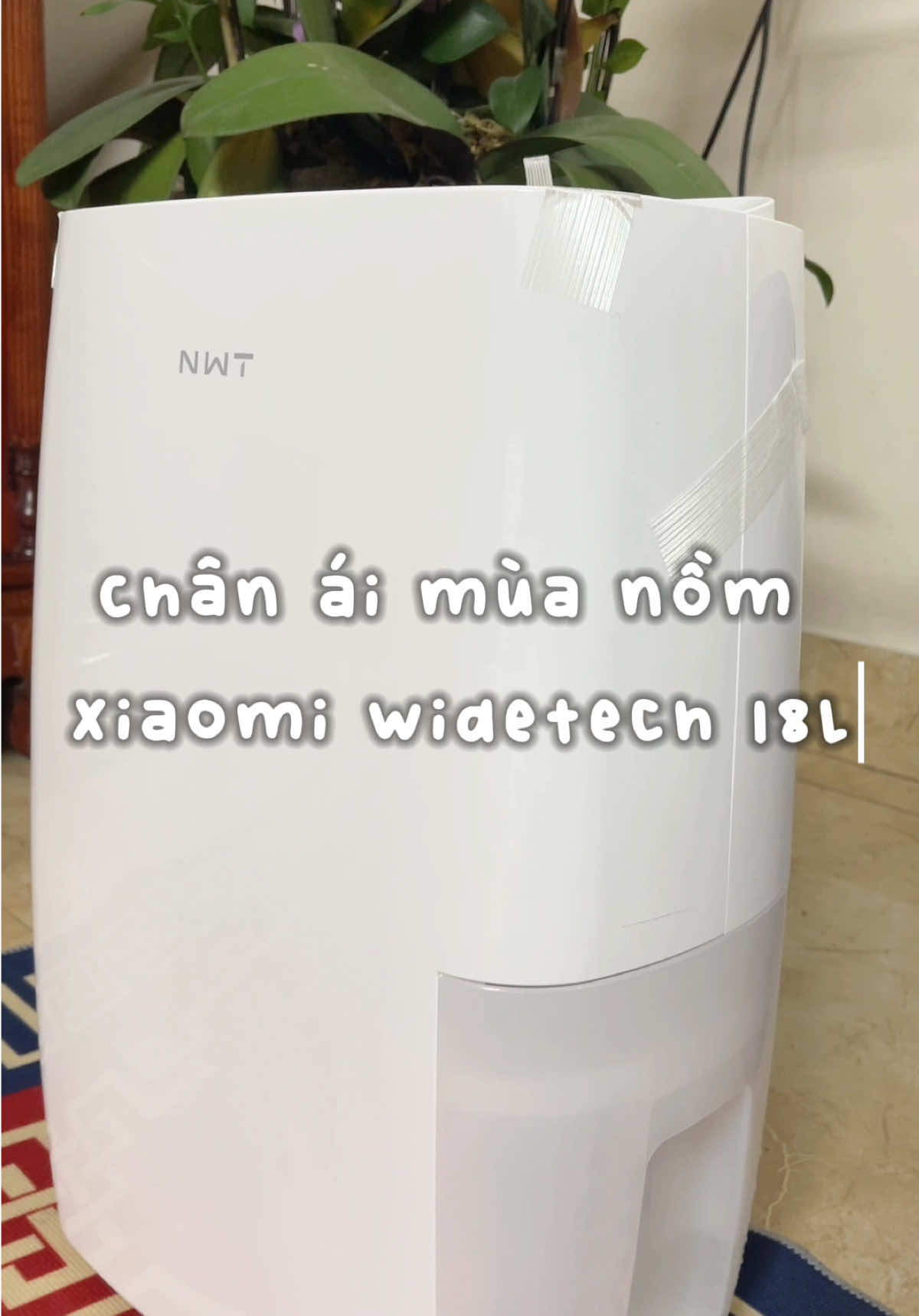 Chân ái mùa nồm, nhà khô rang hong bị nhớp nháp xíu nào #xiaomi #xuhuong #fyp #fy #foryoupage #xiaomiwidetech #tiktok 