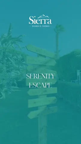 Discover your Serenity Escape at Sierra Hotel! 🌿✨  Unwind in comfort, soak up the tranquility, and embrace the perfect getaway in Sharm El Sheikh. 🌴☀️  #SierraHotel #SavoyGroup #SerenityEscape #Gardens