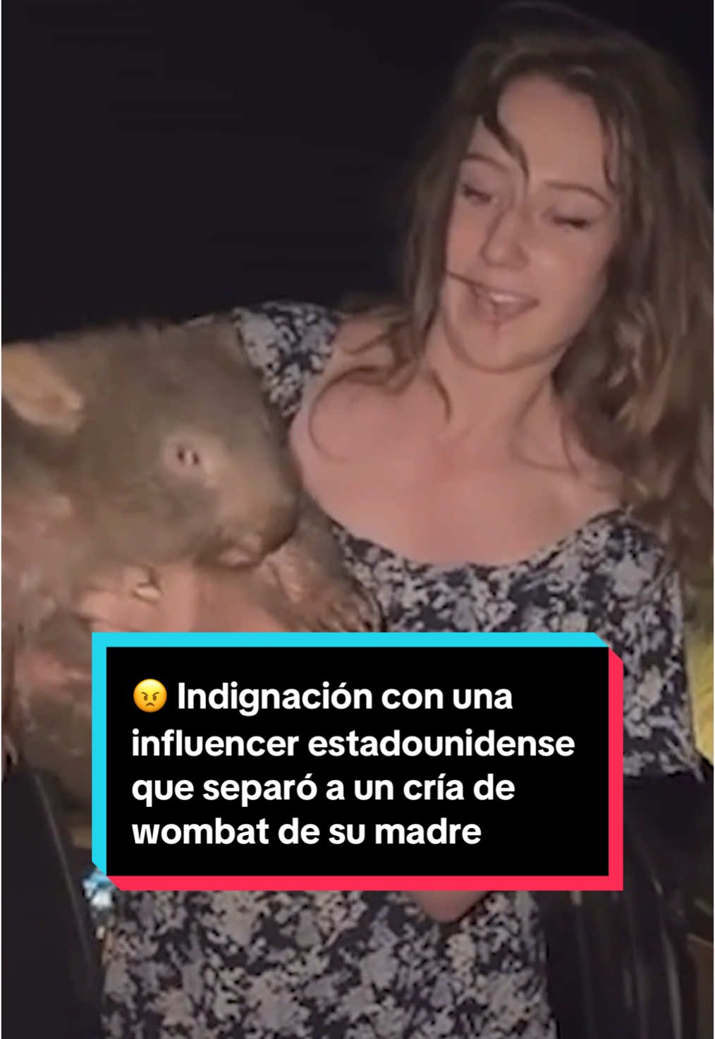 El vídeo de una influencer capturando en plena noche una cría de wombat salvaje, un marsupial endémico de Australia, para sacarse una foto ha provocado la indignación de la nación oceánica, cuyas autoridades de inmigración revisan este jueves su visado. Sam Jones, quien en sus redes sociales se presenta como 