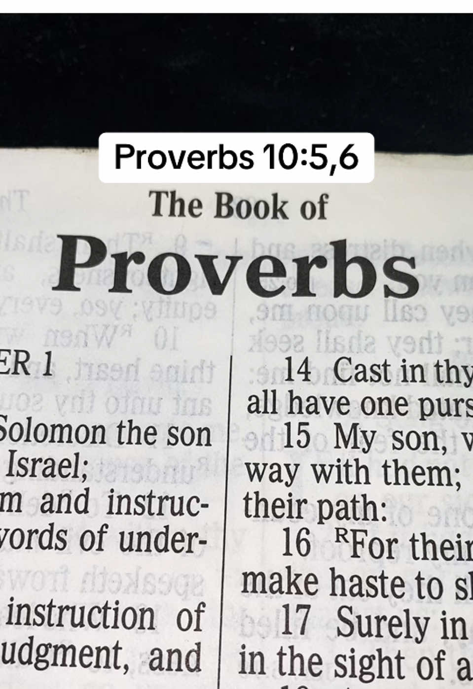 📖Proverbs10:5,6📖#Jesus #ScriptureReading #Christ #Messiah #Wonderful #Grace #Mercy #Word #Truth #Bible #Scripture #ForYou #ForYourPage #FYP #Christian #christiantiktok #Wisdom #Knowledge #Understanding #Faith #Love