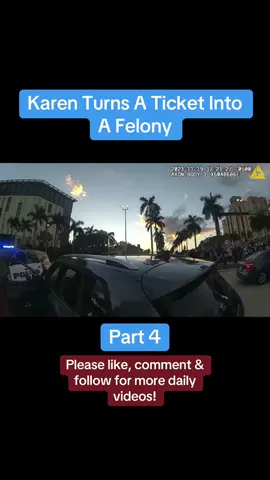 Part 4 | BODYCAM #bodycam #bodycamcops #cops #police #policeofficer #bodycams #fyp 